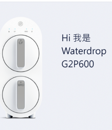 愛惠浦G2P600