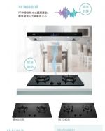 隱藏式排油煙機(智能連動)RH-8790R/RH-9790R